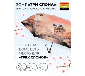 Женский зонт Три слона L3801-3
