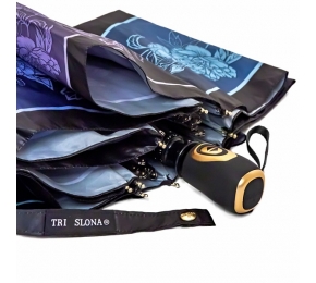 Женский зонт Три слона L3100-17