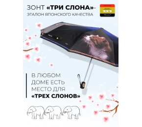 Женский зонт Три слона L3102-6