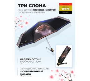 Женский зонт Три слона L3102-6