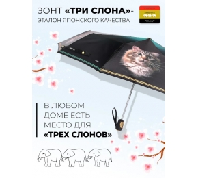 Женский зонт Три слона L3102-7