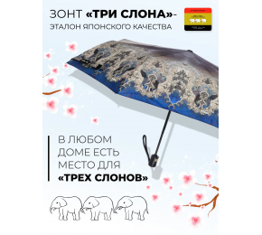 Женский зонт Три слона L3887-12