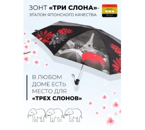 Зонт Три слона L4835-4 карманный
