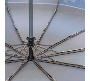 Женский зонт Три слона L3100-17