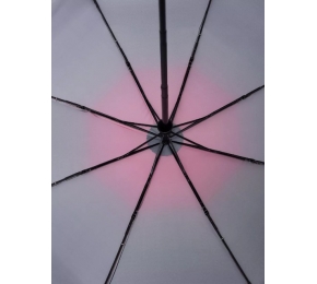 Женский зонт Три слона L3805-1