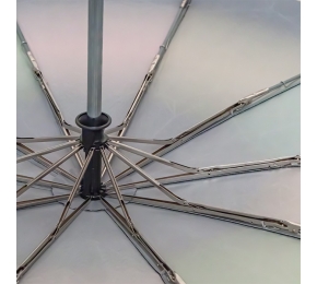 Женский зонт Три слона L3100-18