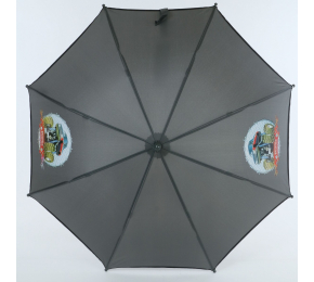 Детский зонт Art Rain 1662-6